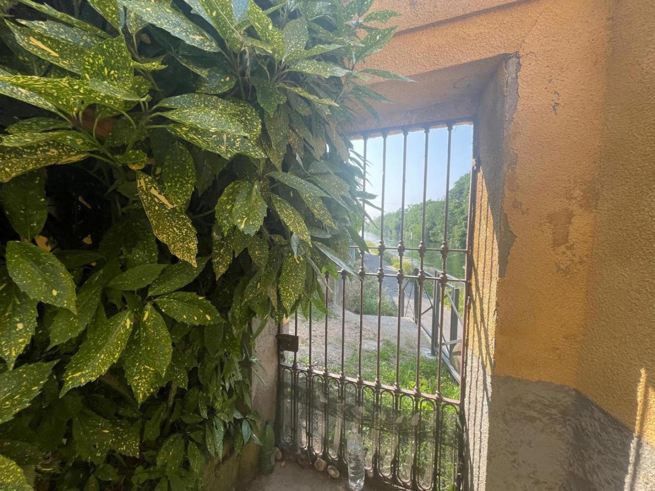 immagine annuncio 4 di 12