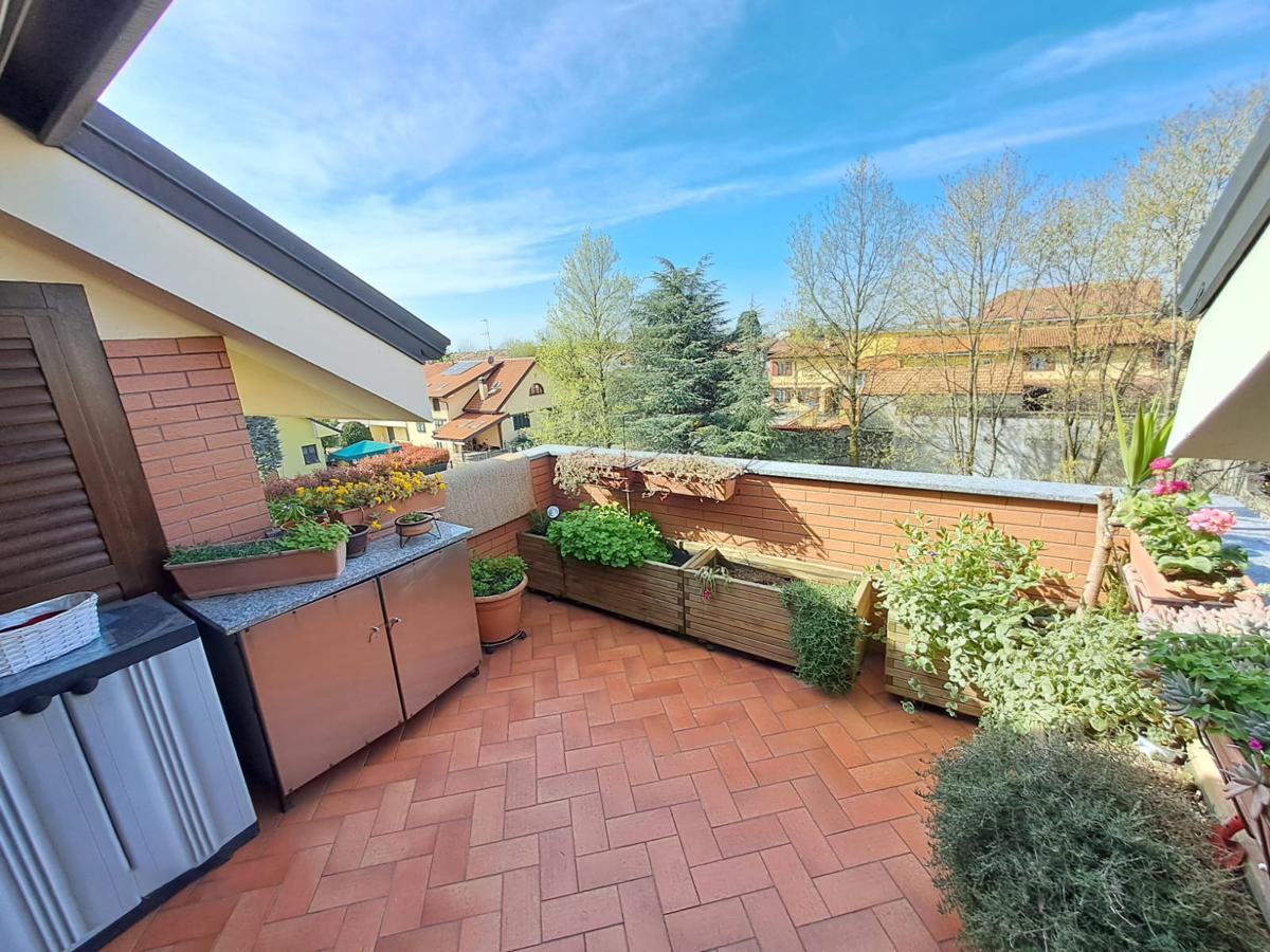 immagine annuncio 14 di 15