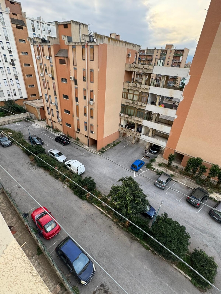 immagine annuncio 12 di 14