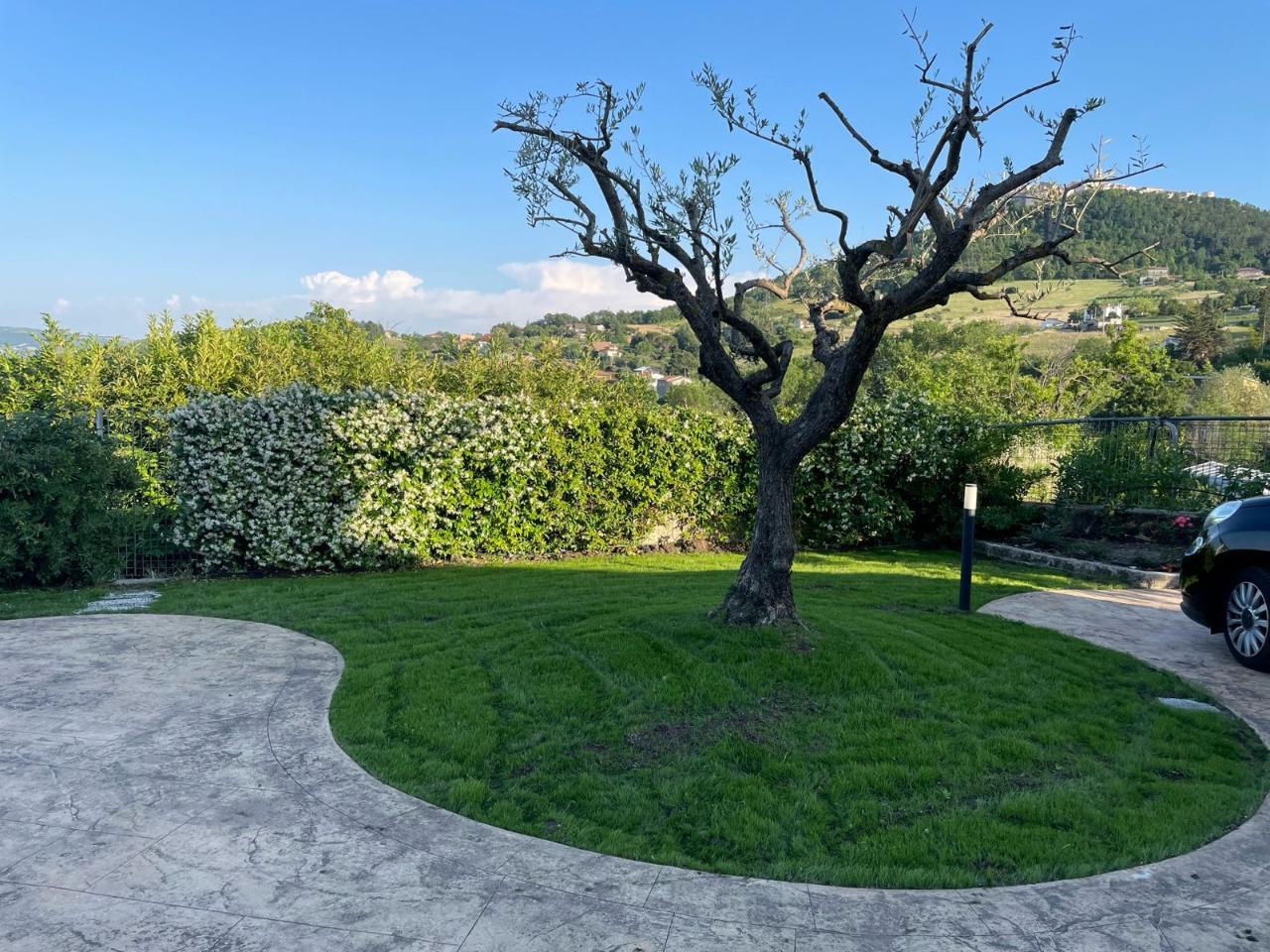 immagine annuncio 5 di 8