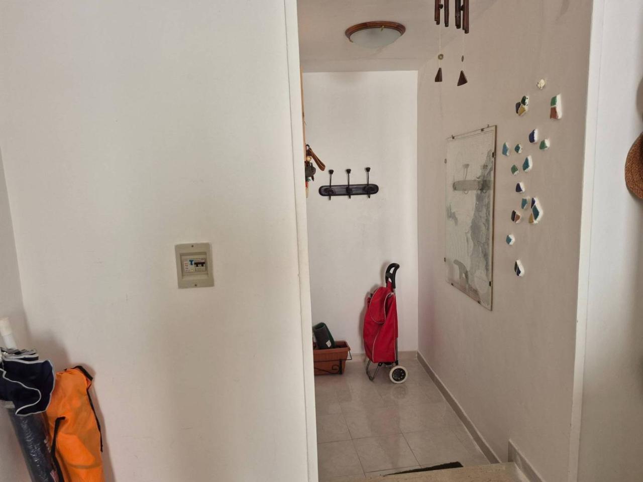 immagine annuncio 11 di 14