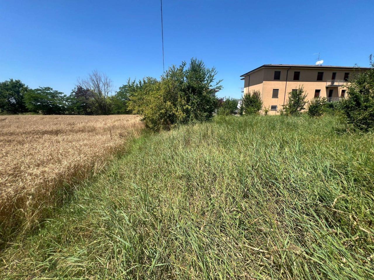 immagine annuncio 10 di 14