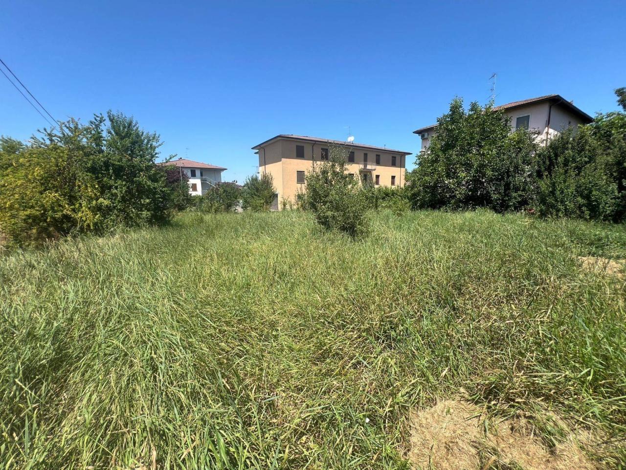 immagine annuncio 2 di 14