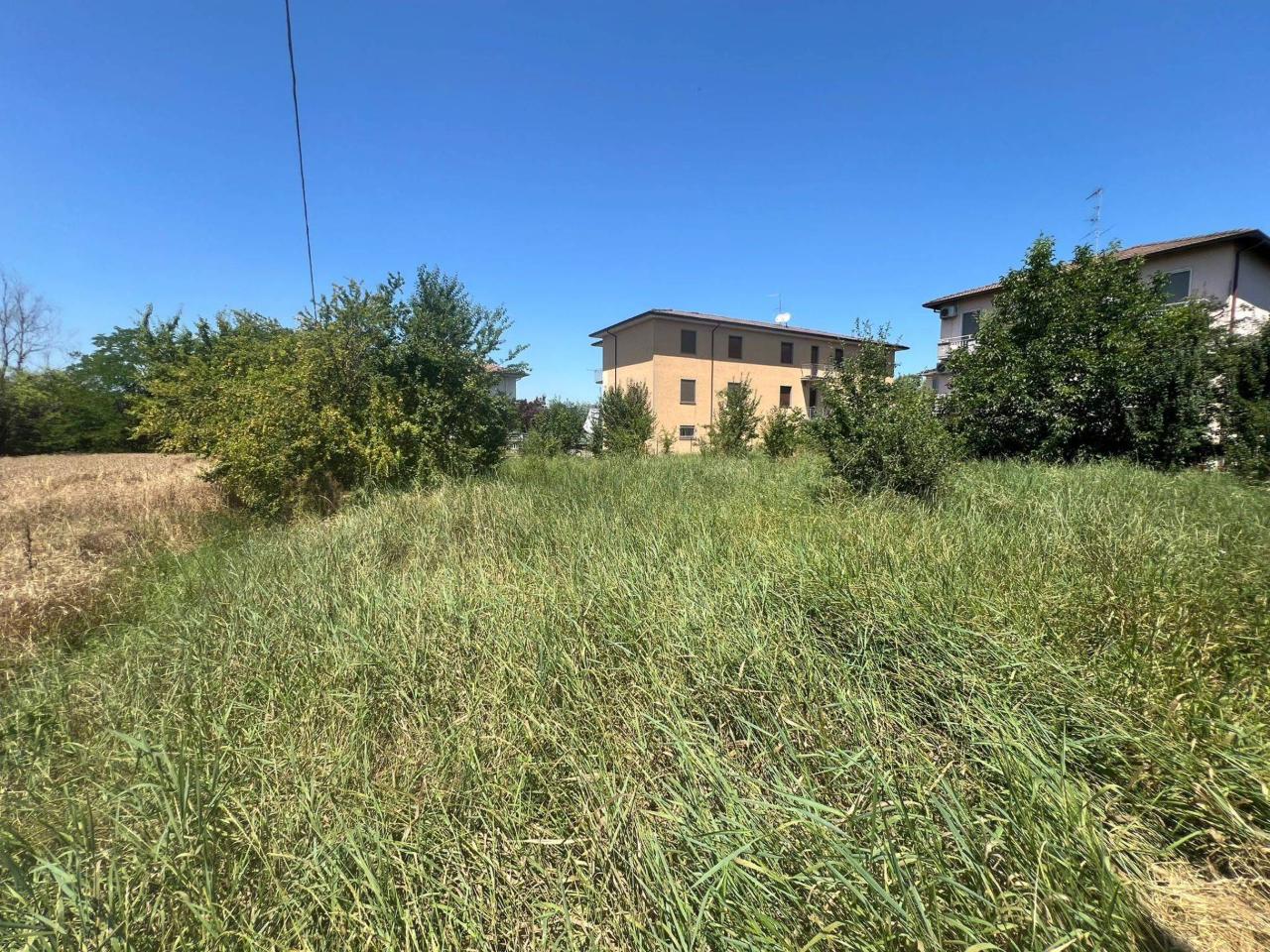 immagine annuncio 8 di 14