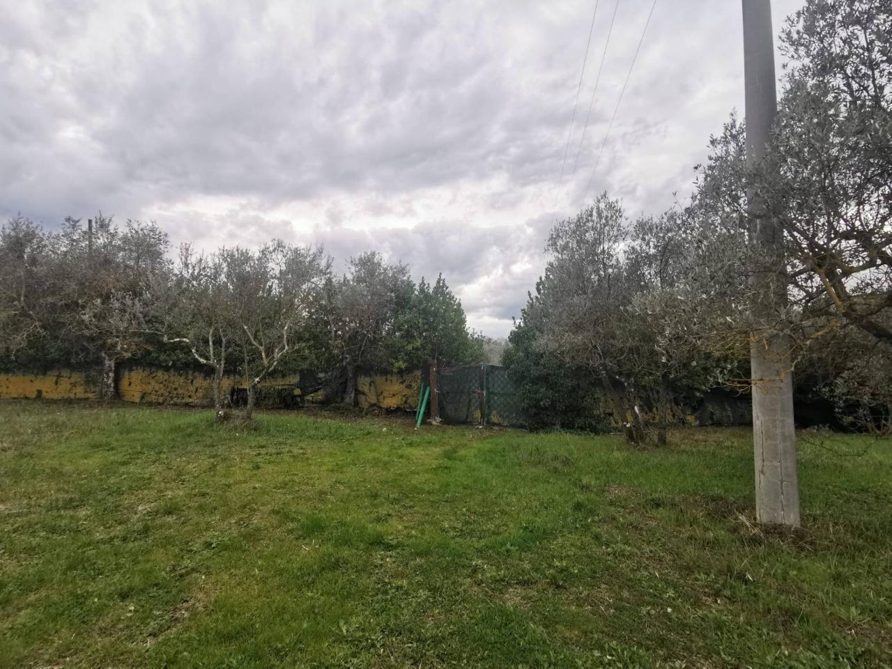 immagine annuncio 5 di 11