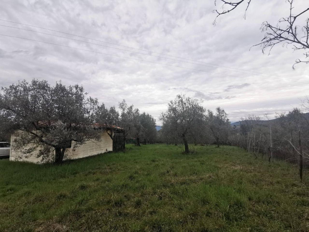 immagine annuncio 4 di 11