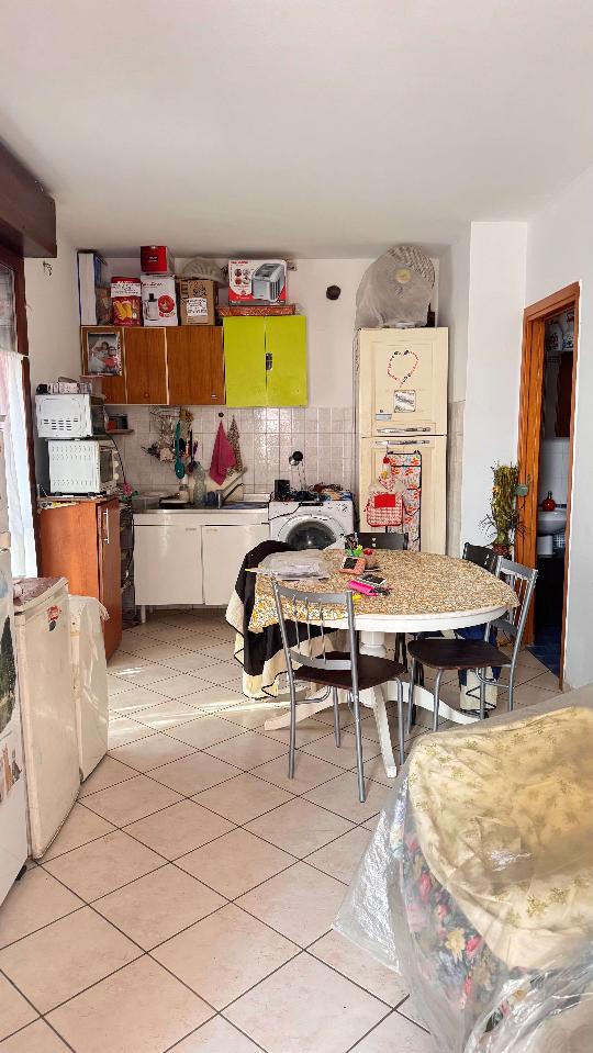 immagine annuncio 2 di 12