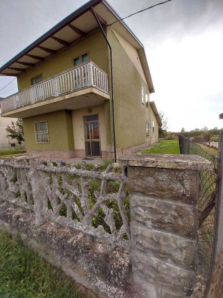 immagine annuncio 7 di 11