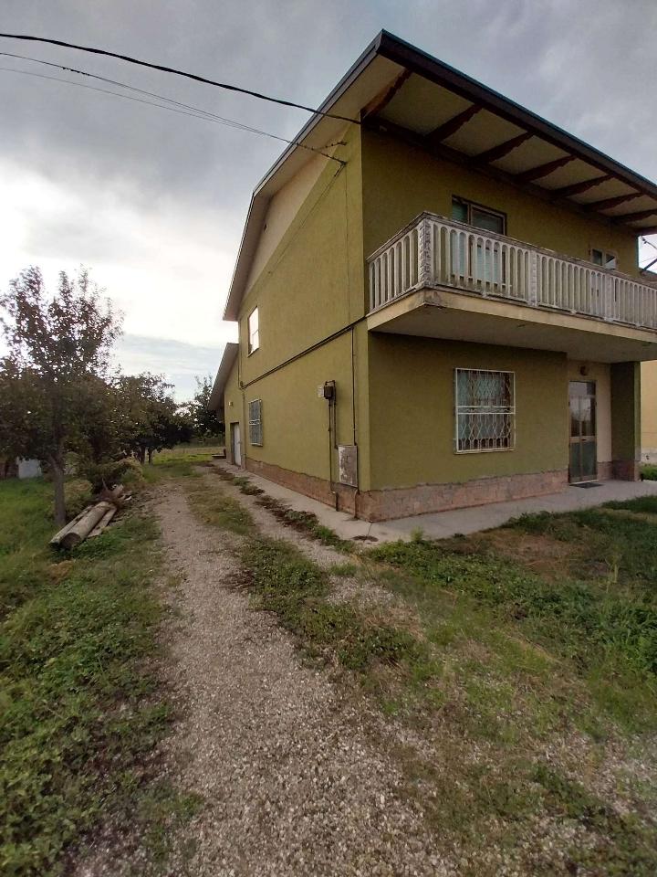 immagine annuncio 4 di 11