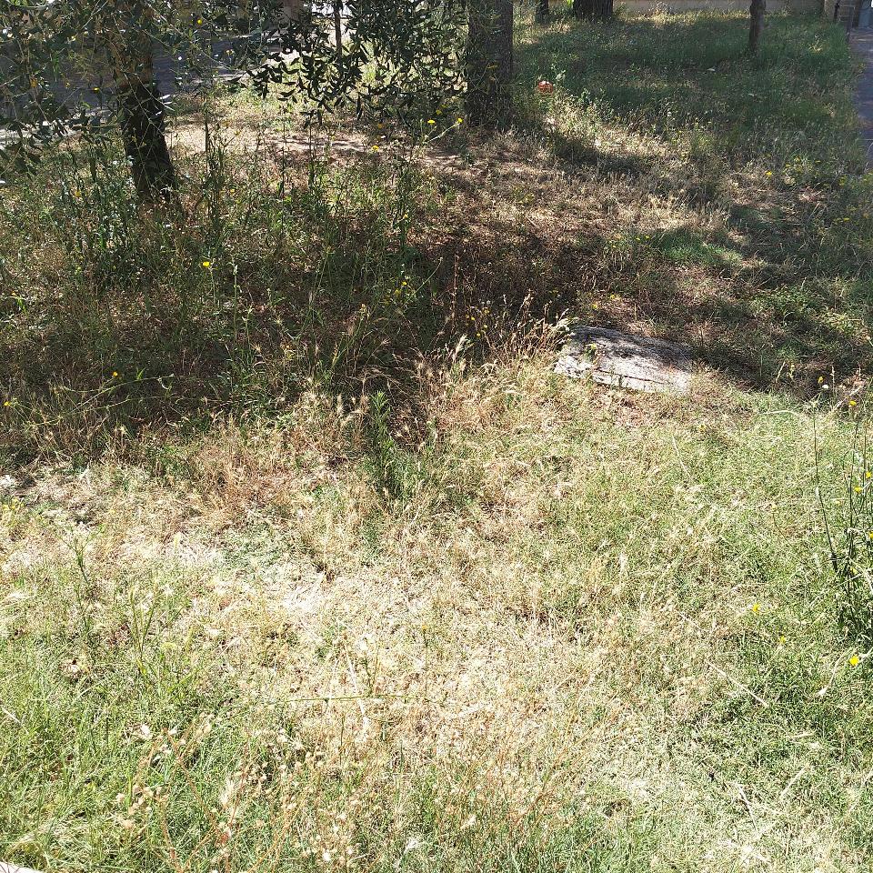 immagine annuncio 12 di 14