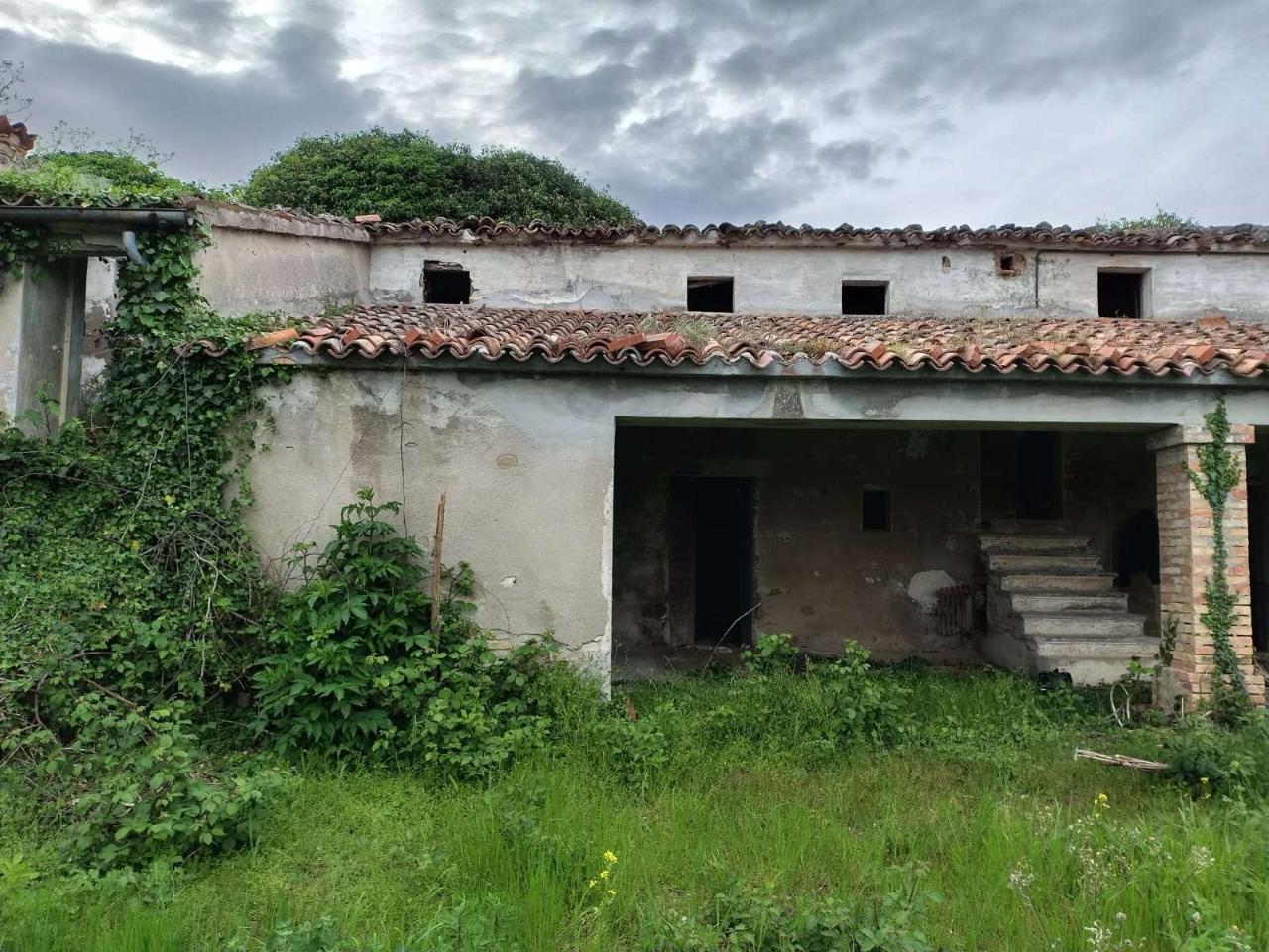 immagine annuncio 1 di 2