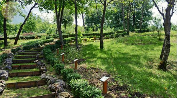 immagine annuncio 2 di 6