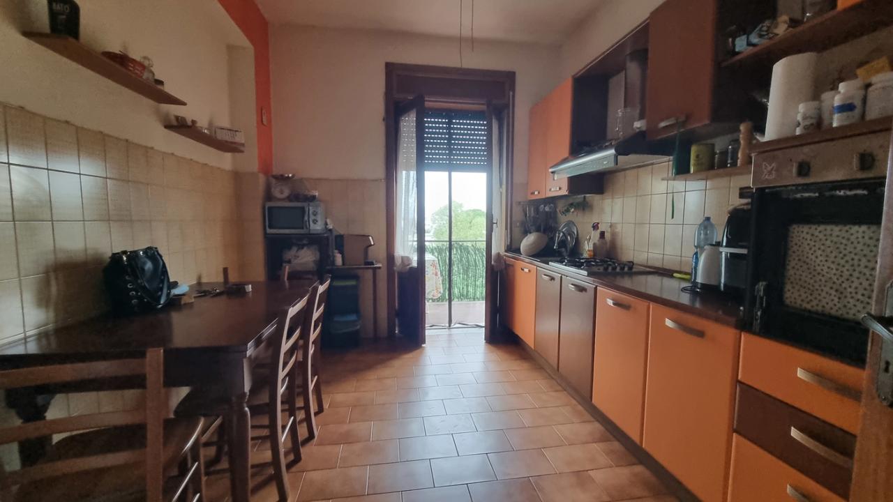 immagine annuncio 5 di 11