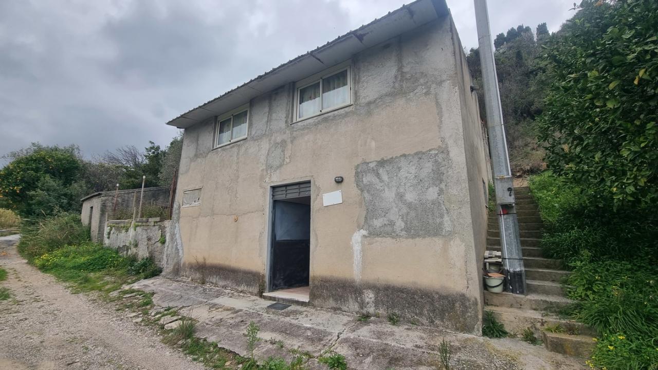 immagine annuncio 7 di 14