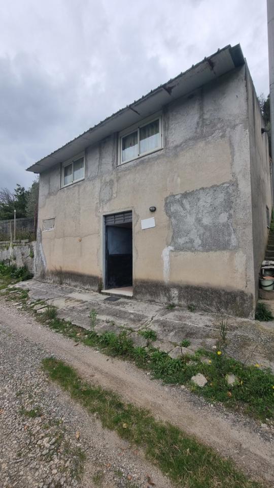 immagine annuncio 8 di 14