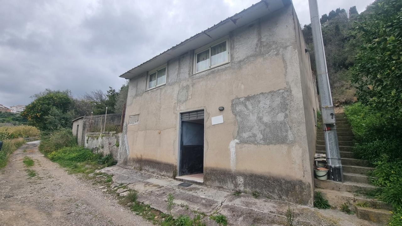 immagine annuncio 9 di 14