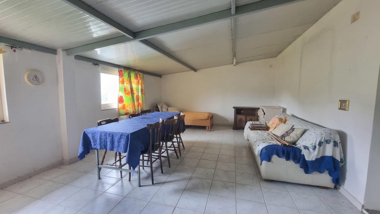 immagine annuncio 12 di 14