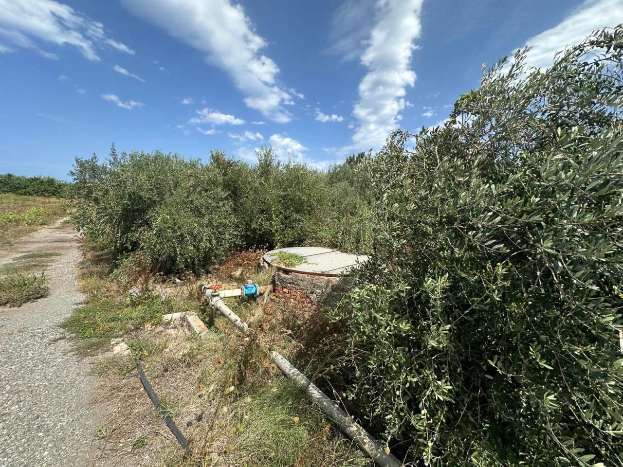 immagine annuncio 5 di 7