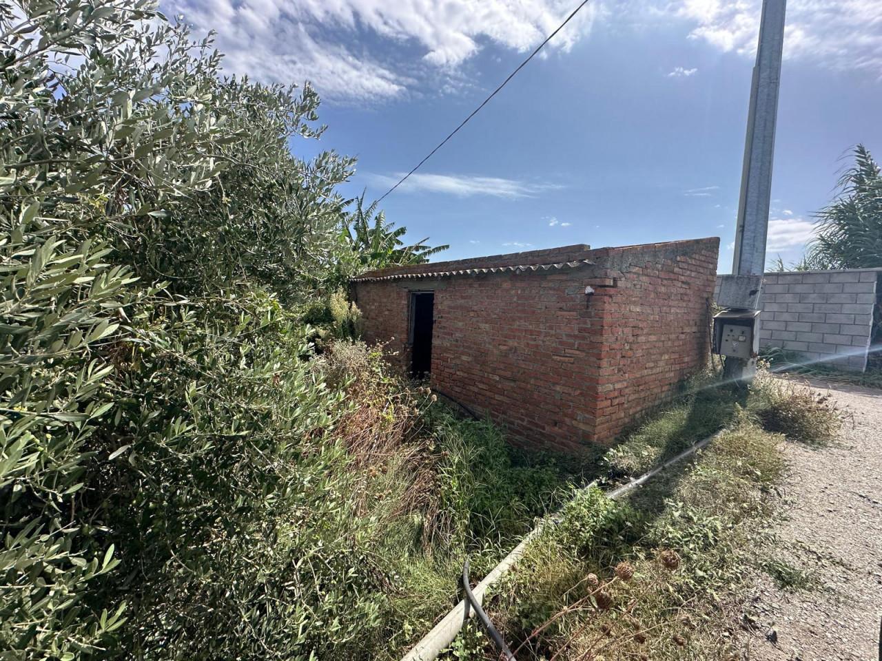 immagine annuncio 4 di 7