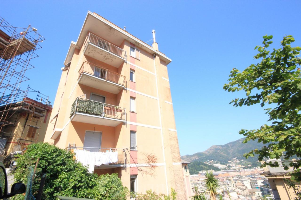immagine annuncio 7 di 9
