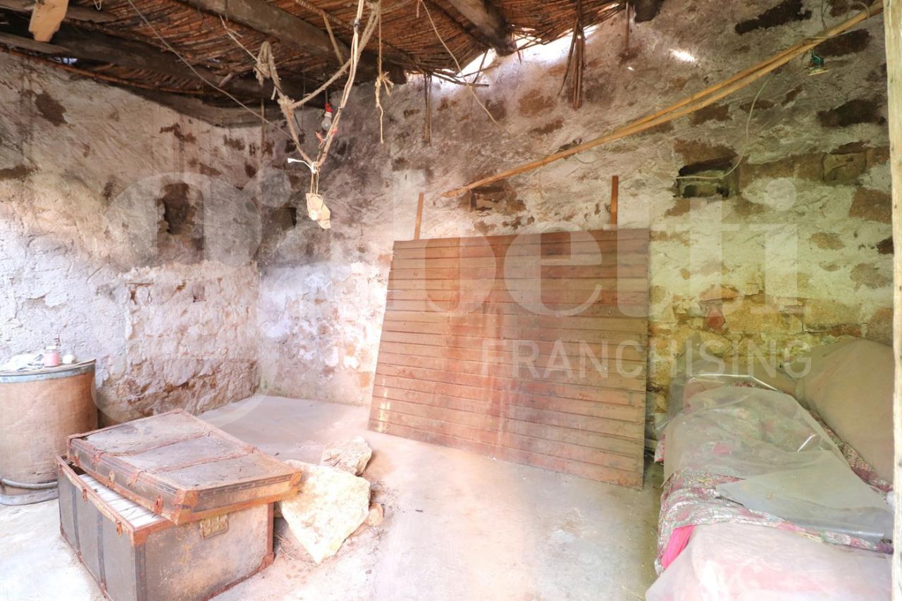 immagine annuncio 10 di 14