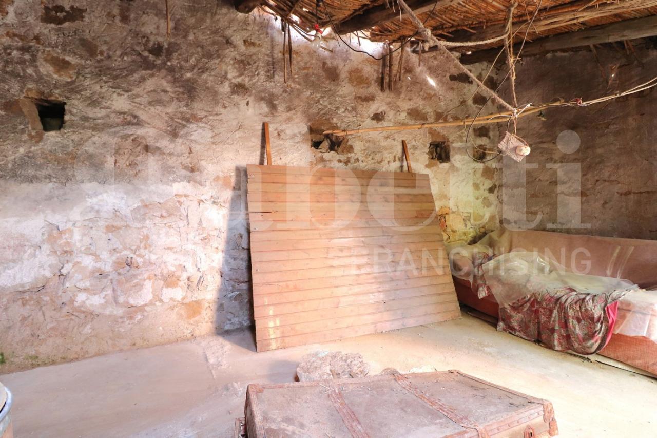 immagine annuncio 12 di 14