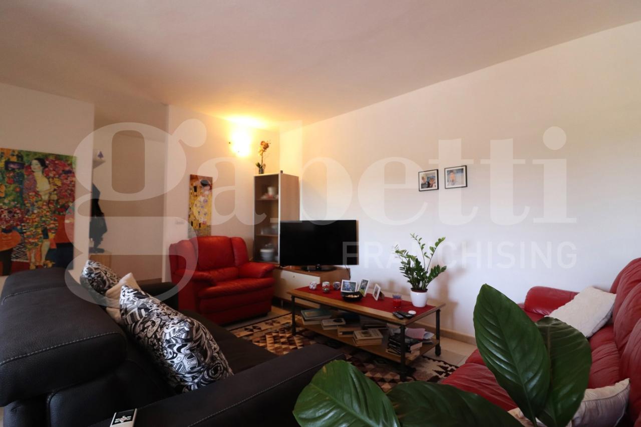 immagine annuncio 2 di 14