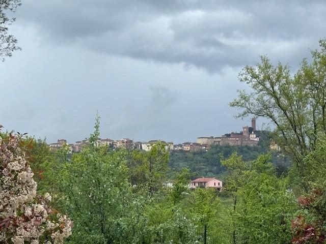 immagine annuncio 0 di 15