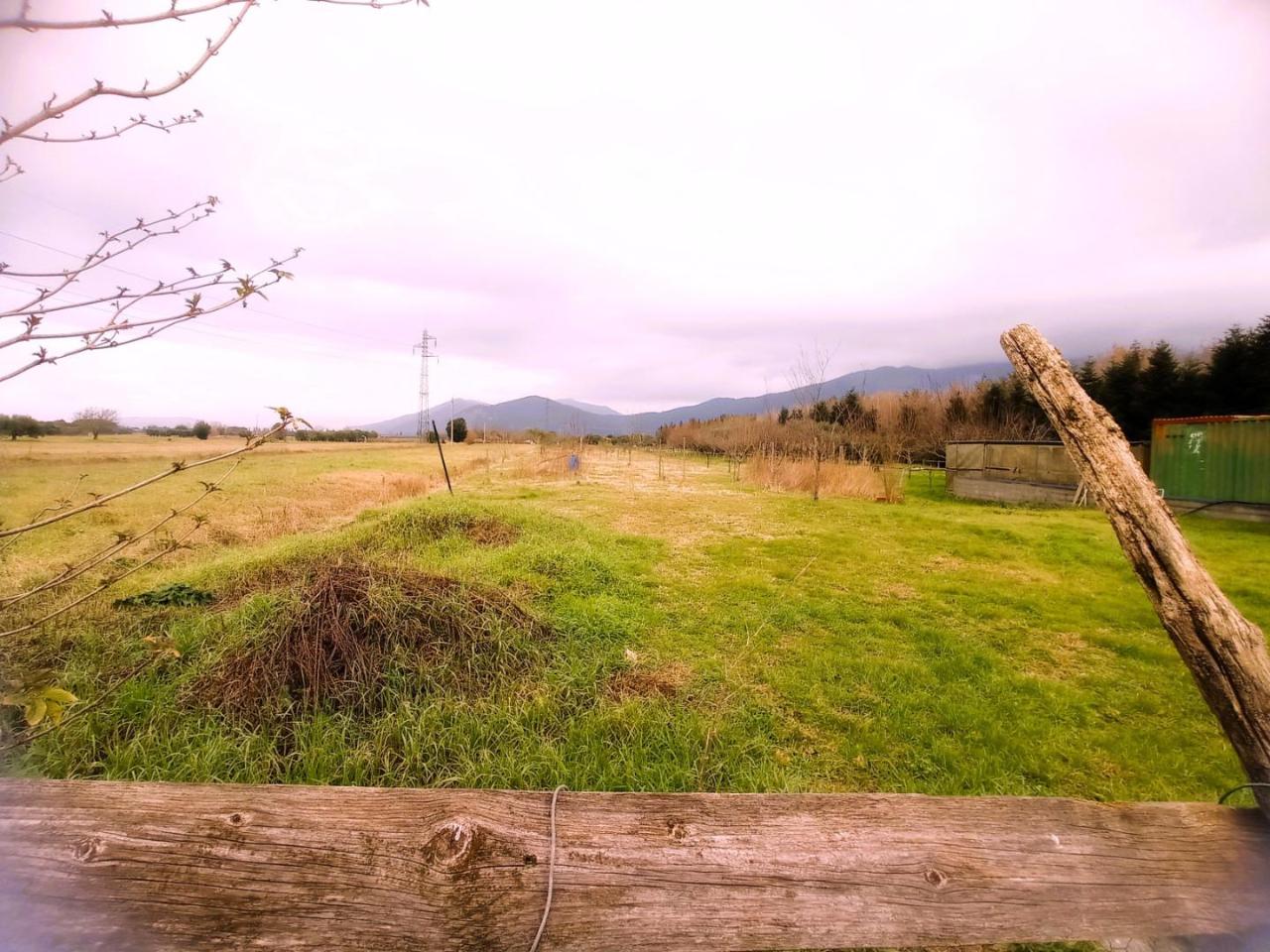 immagine annuncio 12 di 13