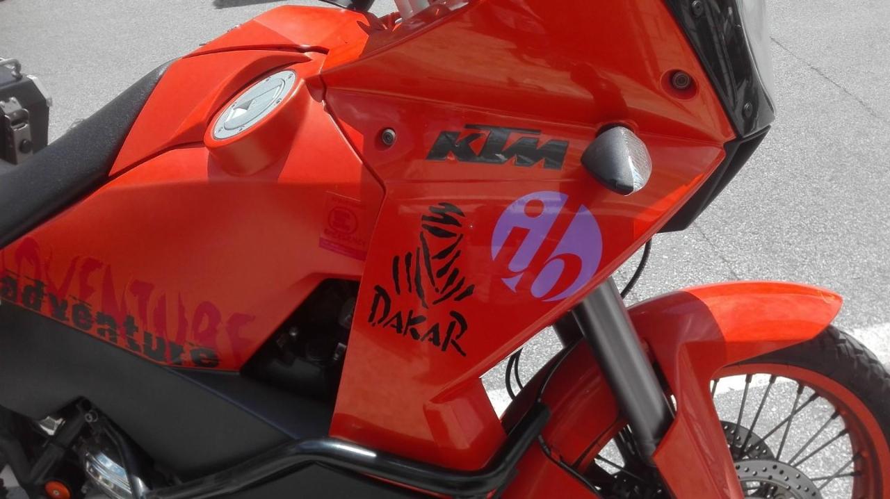 immagine annuncio 12 di 15