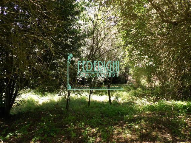 immagine annuncio 9 di 14