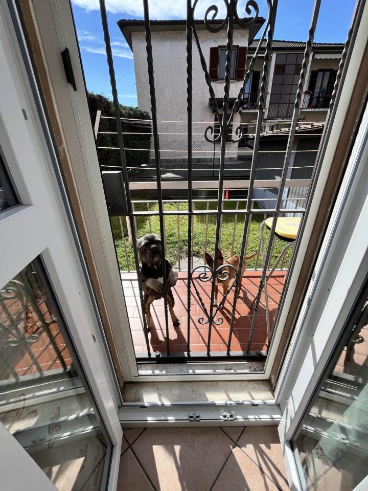 immagine annuncio 5 di 15