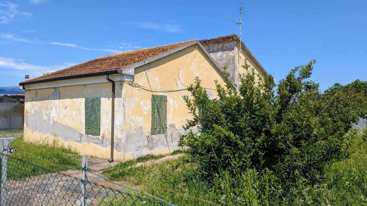 immagine annuncio 1 di 12