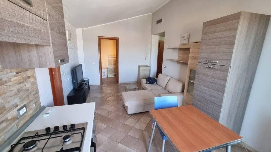 immagine annuncio 9 di 14