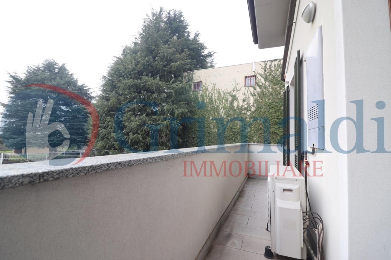 immagine annuncio 6 di 14