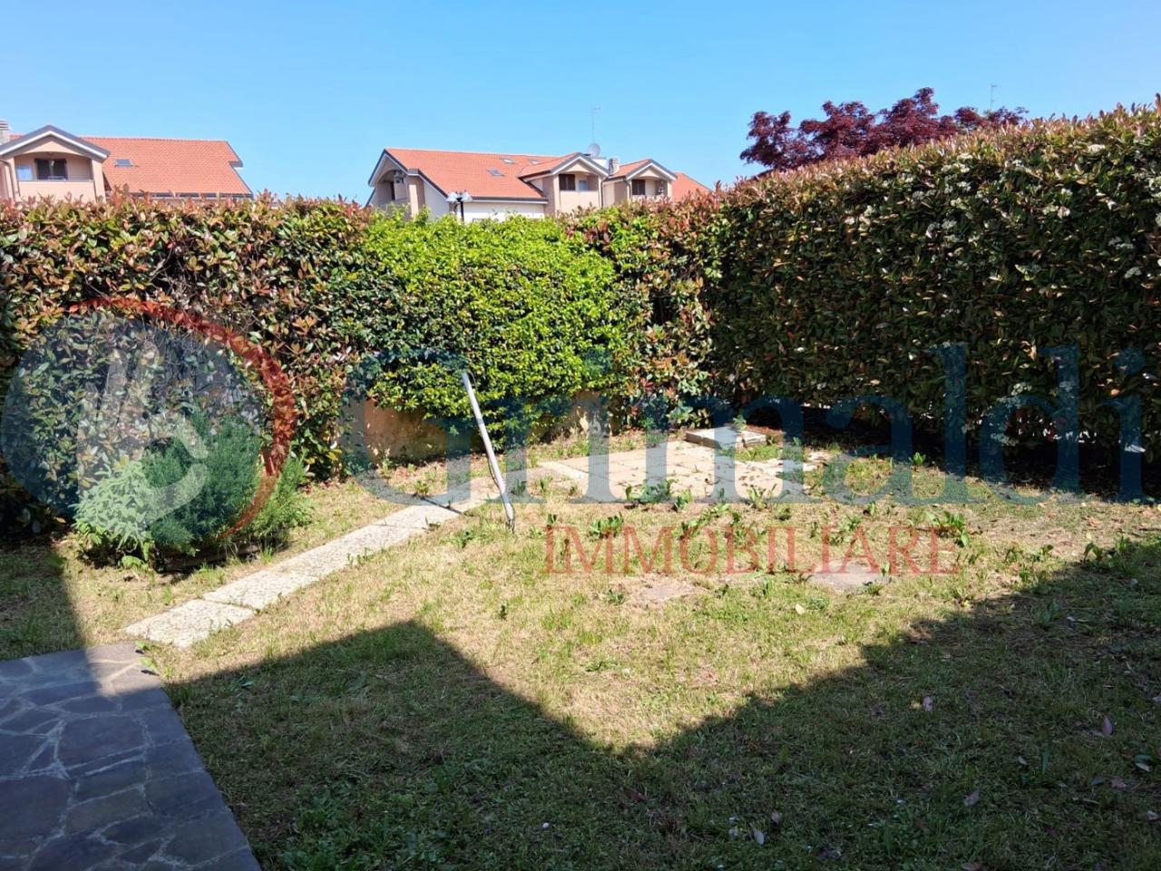 immagine annuncio 2 di 12