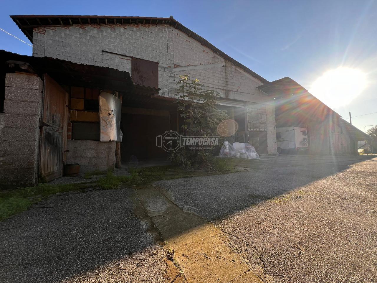 immagine annuncio 9 di 14