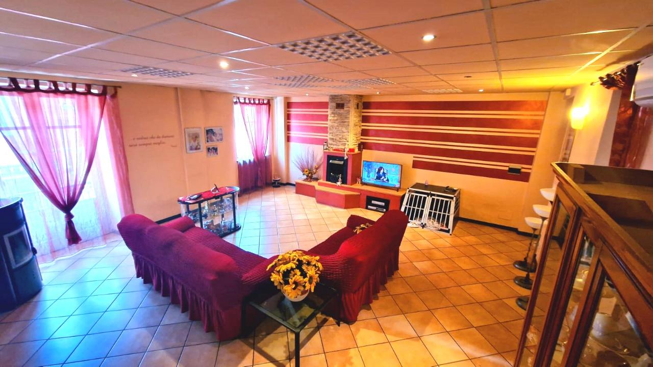 immagine annuncio 1 di 10