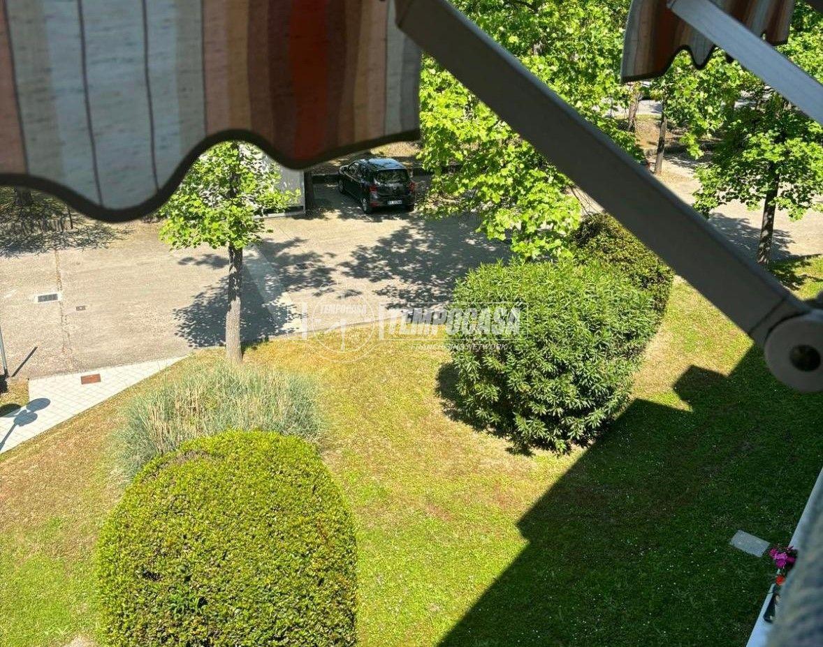 immagine annuncio 11 di 14