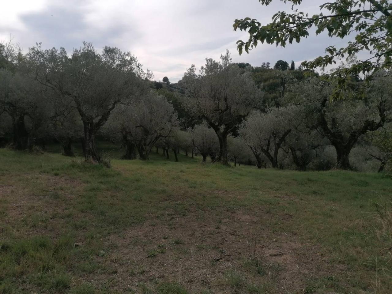 immagine annuncio 9 di 11
