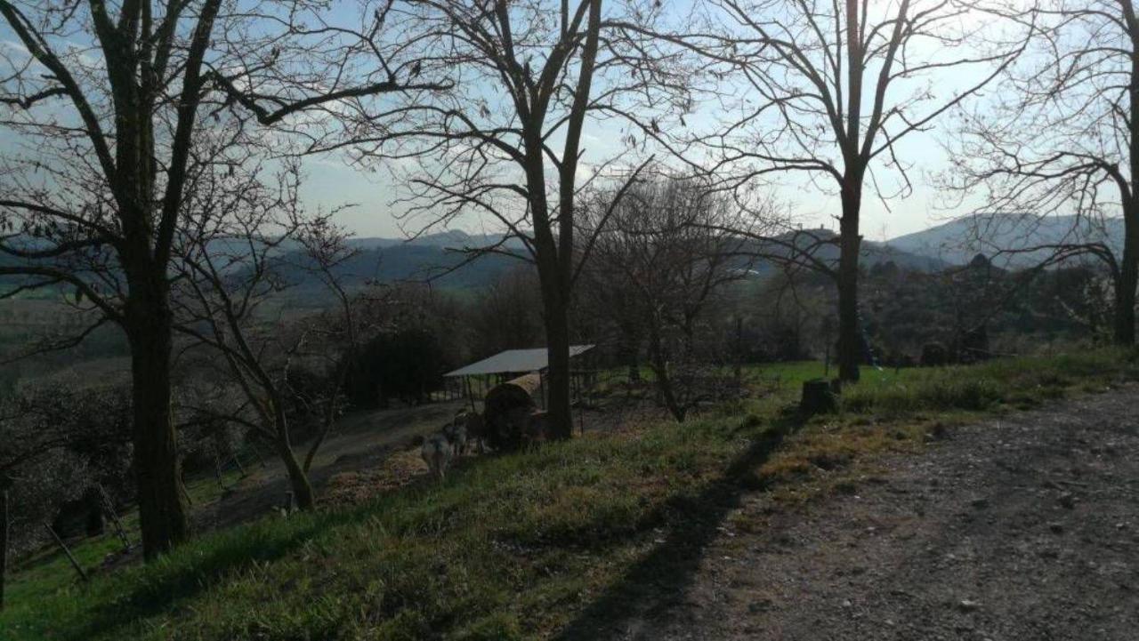 immagine annuncio 4 di 11
