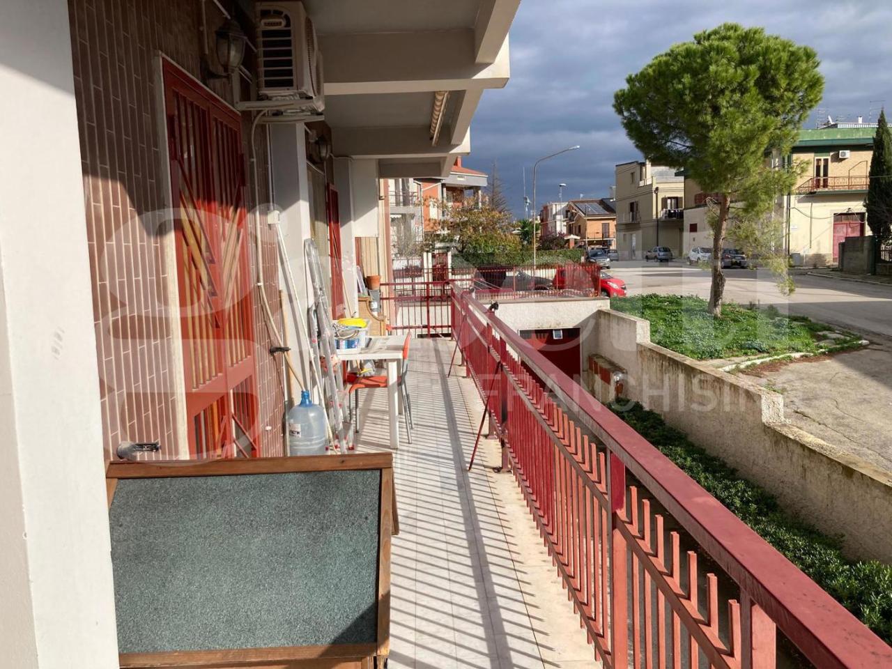 immagine annuncio 10 di 12