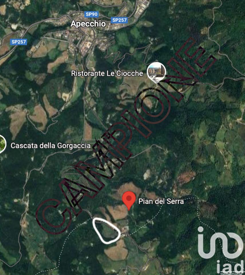 immagine annuncio 10 di 12