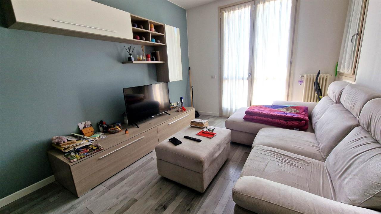 immagine annuncio 3 di 14