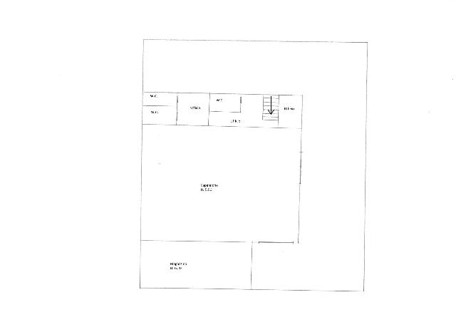 insertion image