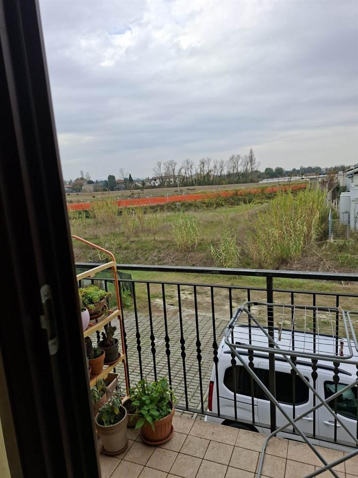 immagine annuncio 6 di 8