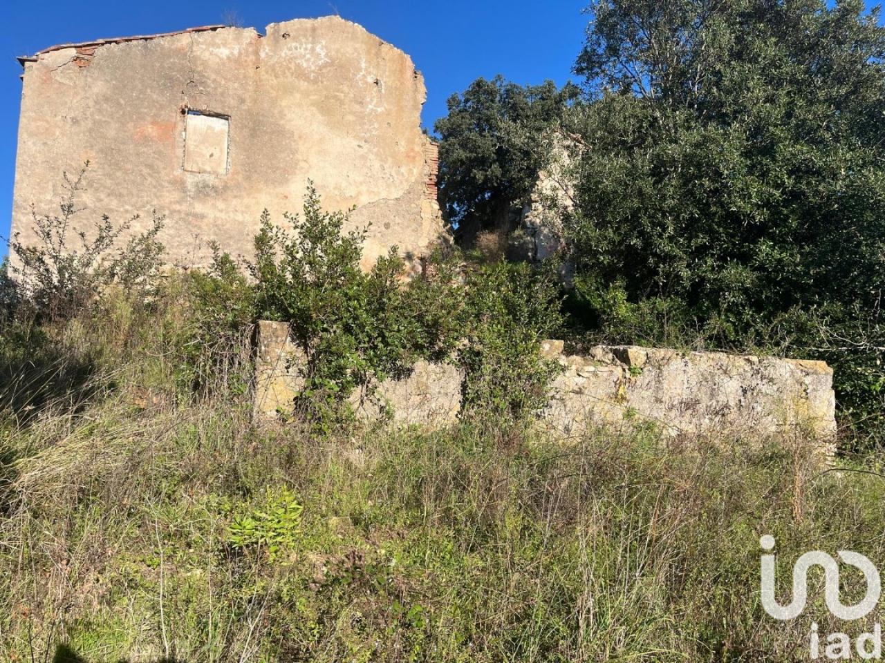 immagine annuncio 11 di 14