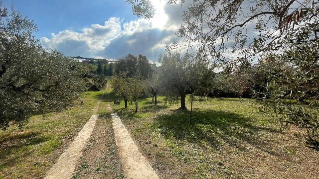 Agrargrundstück in Via delle Grotte, Ariccia - Foto 1