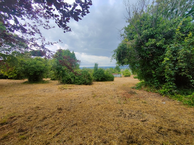 Agricultural land in Via Mater dei, Castel Gandolfo - Photo 1