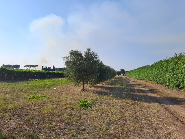 Terreno agricolo in Via dei Piani di Monte Savello, Albano Laziale - Foto 1